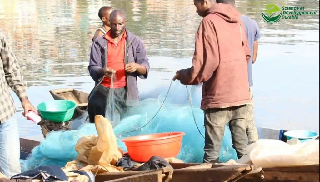 Sud-Kivu : L’Exploitation Abusive Des Ressources Du Lac Kivu, Un Danger Pour Les Populations Riveraines