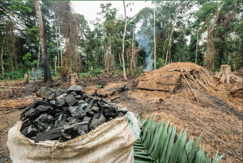 Entre Protection De L’environnement Et Satisfaction Des Besoins Socio-économiques Des Populations Et Communautés Locales En République Démocratique du Congo :Quel Equilibre ?
