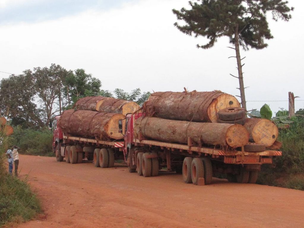 La Fiscalité Forestière Et Son Impact Sur La Gestion Durable Des Forêts En Rd Congo