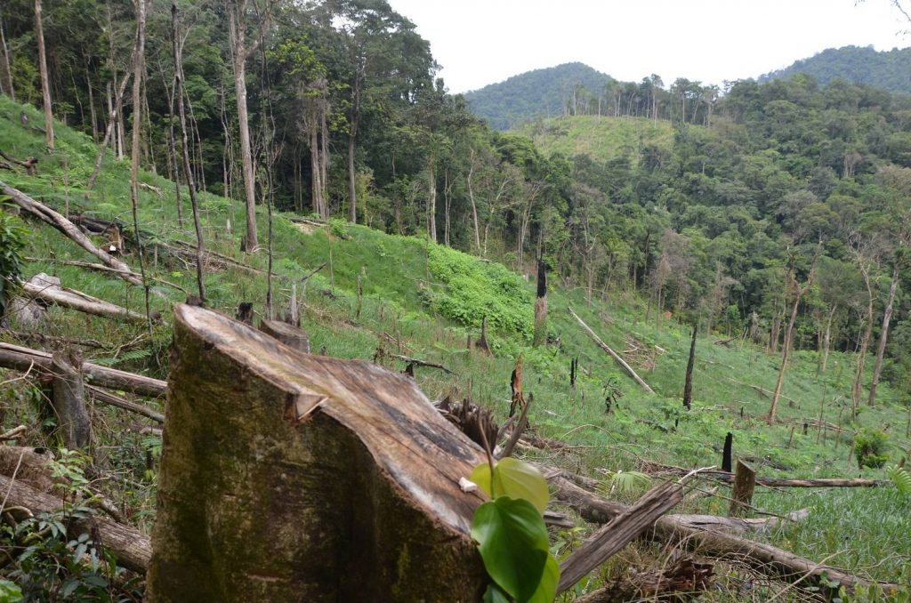 La Dynamique Du Couvert Forestier Entre 2000 Et 2012 Dans Le Secteur Forestier Central De La République Démocratique du Congo (Isangi, Uma et Mambasa)