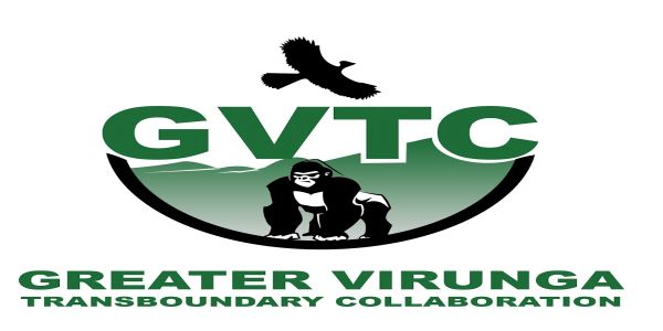 La Conservation Transfrontalière des Virunga, source d’une concurrence accrue, à la méfiance et à la « diffamation » mutuelle entre la RDC, le Rwanda et l’Ouganda pour s’emparer la part du lion des revenus du Tourisme des Gorilles