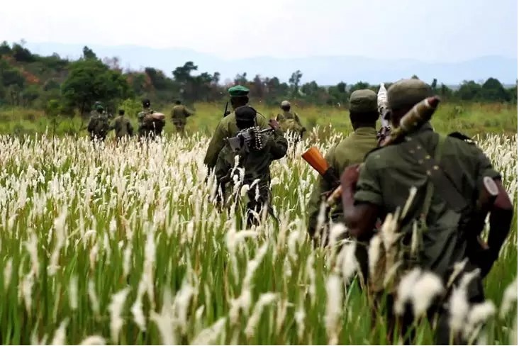 La Militarisation de la Conservation, mis en question par les scientifiques Militarisation de Virunga SddNature