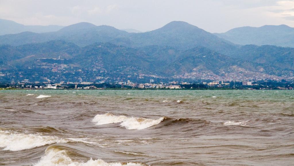 Découvrez l’Impact de la Pollution Sédimentaire sur la Biodiversité du Lac Tanganyika Sédimentation lac Tanganyika SddNature