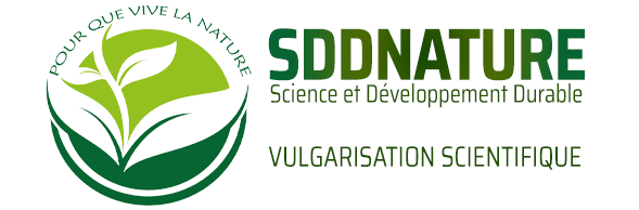 SDDNature