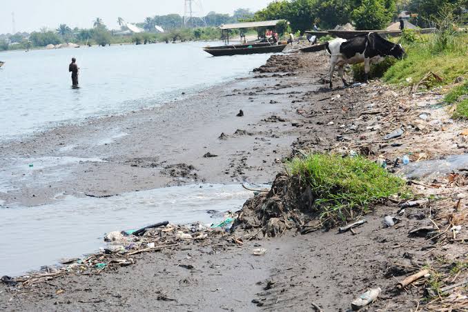 Les scientifiques lancent l’alerte au sujet de la dégradation des habitats du littoral du lac Tanganyika, côté Burundais littoral lac tanganyika pollué