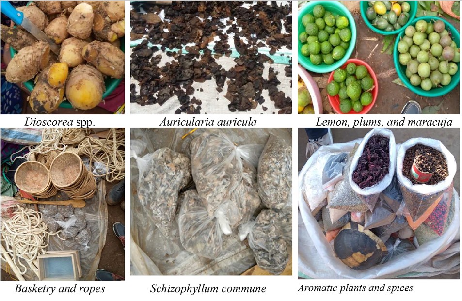 Les produits forestiers non ligneux: source de revenus à valoriser pour les ménages autours du PNKB