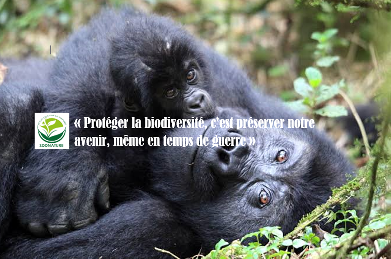 Déclaration de la SDDNATURE a l’occasion de la Journée Mondiale de la Vie Sauvage Journée Mondiale de la vie sauvage
